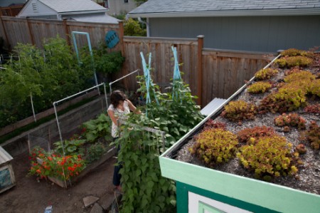 Sky_View_Garden