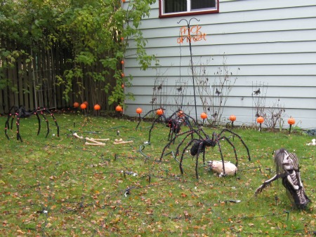 halloween_roosevelt_spiders