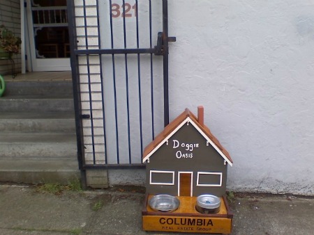 Green-Lake-Doggie-Oasis