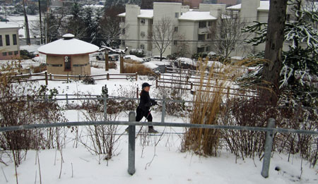 ski_community_gardens