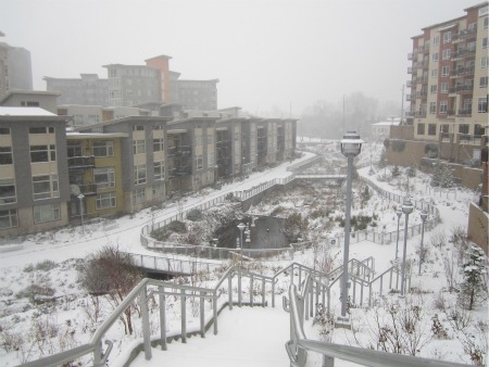 snow_1-18-11_Thornton-Creek