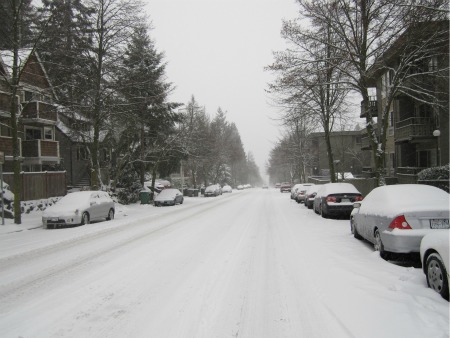 snow_1-18-12_Roosevelt-Way-south