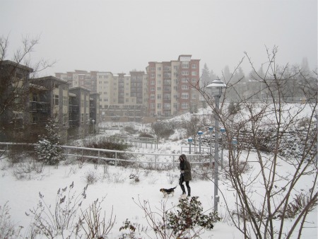 snow_1-18-12_Thornton-Place