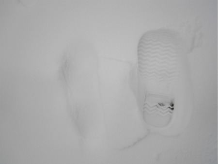snow_1-18-12_footprints