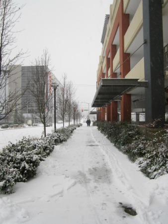 snow_1-18-12_sidewalks