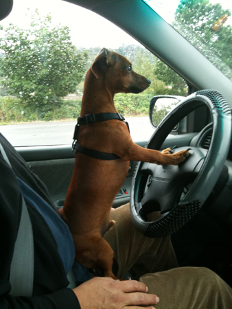 Driver max