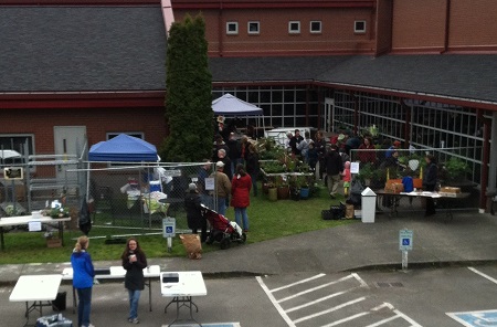 olympic view plant sale 2013-distance