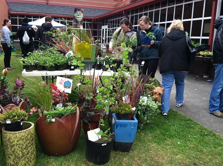 olympic view plant sale 2013