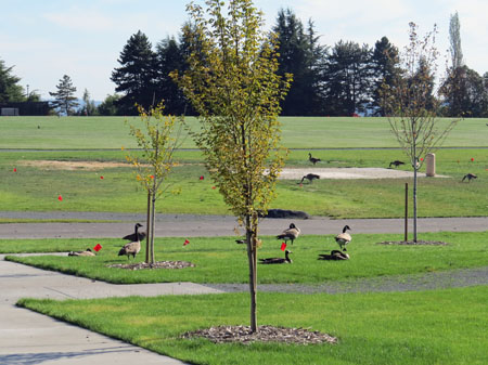 north entrance reservoir park